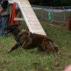 foire-haricots 2011-09-17et18